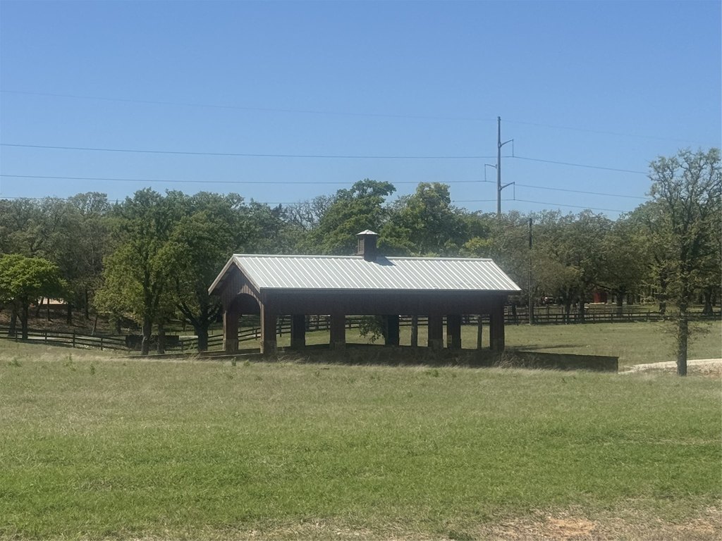 Picture 14