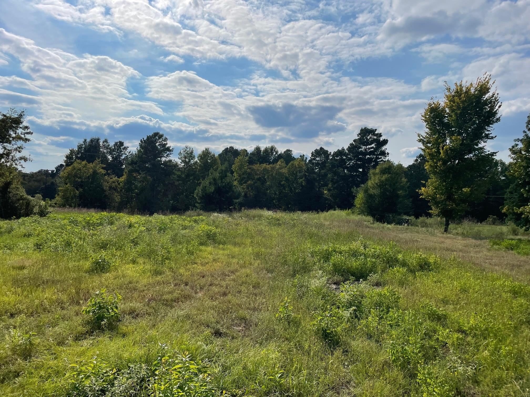 Cleared Land in Union Grove