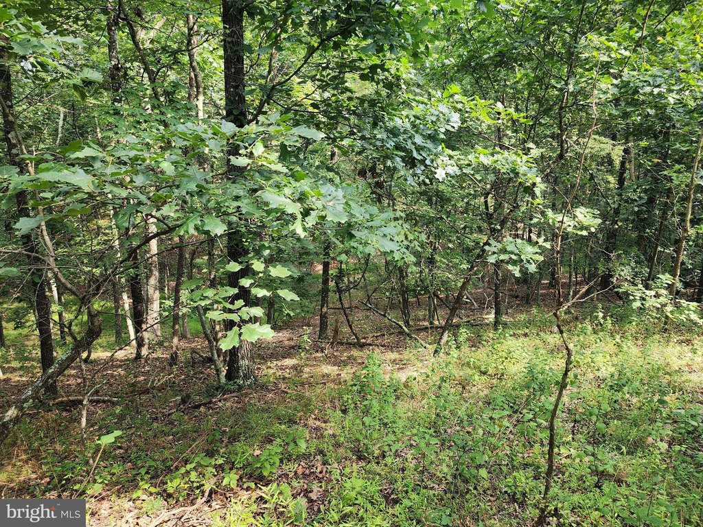 Picture 30