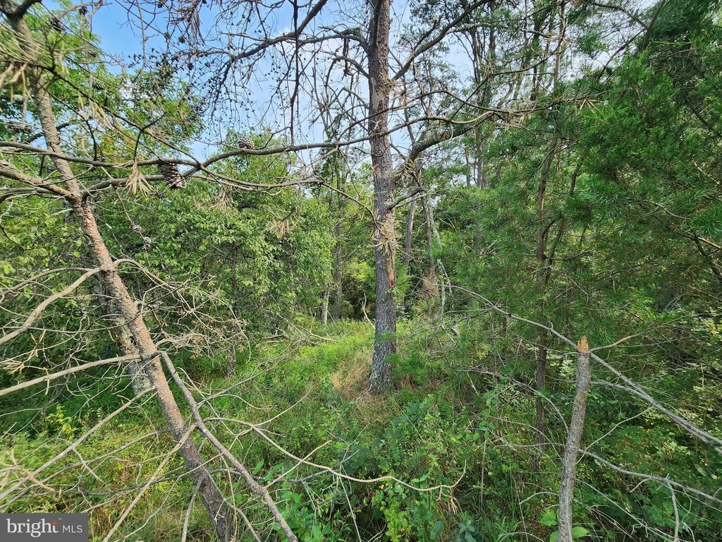 Picture 33
