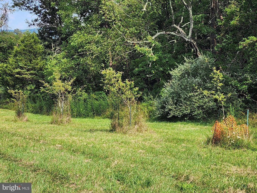 Picture 23