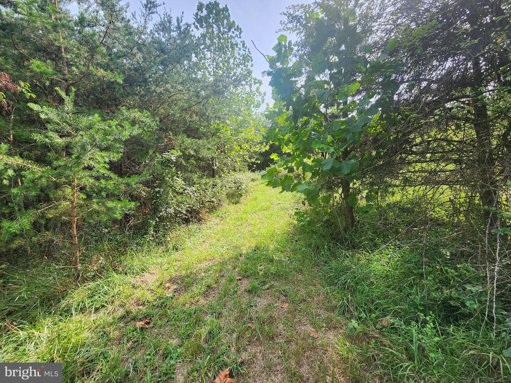 Picture 25