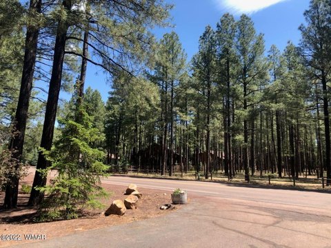 Pinetop Land Near Country Club
