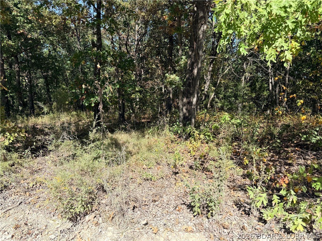 Picture 4