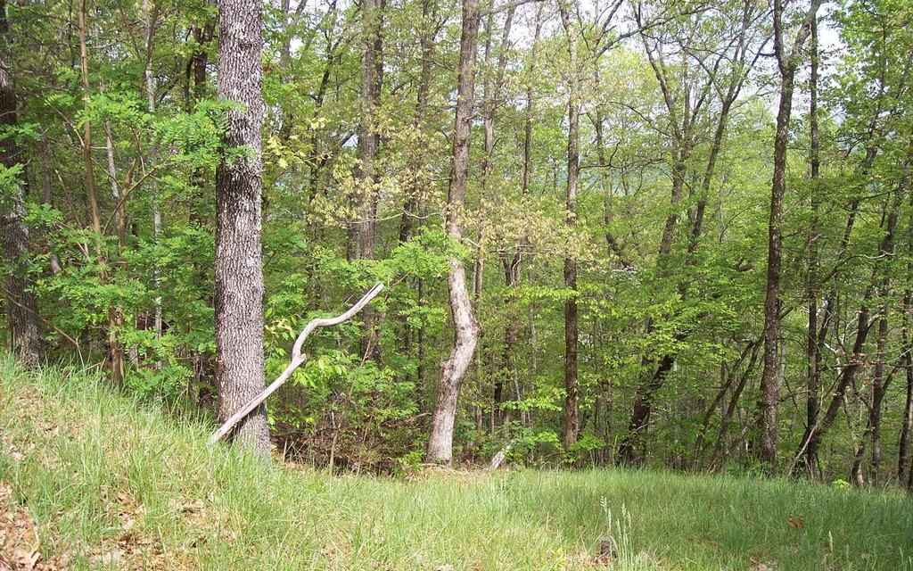 Picture 7