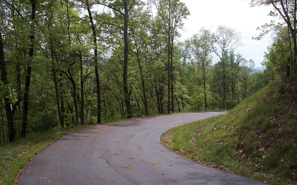 Picture 4