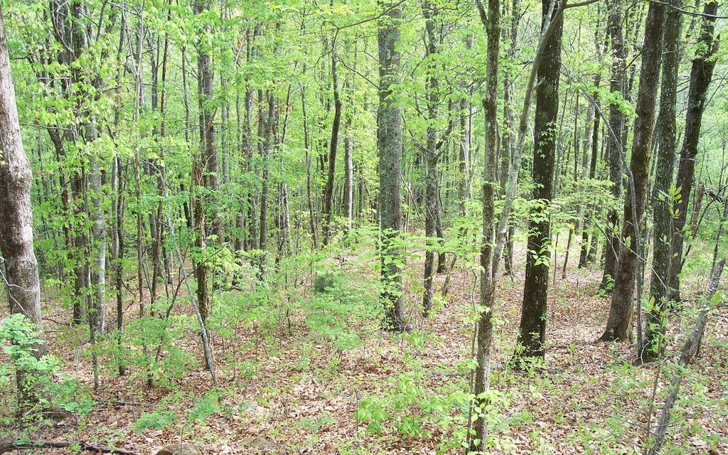 Picture 8