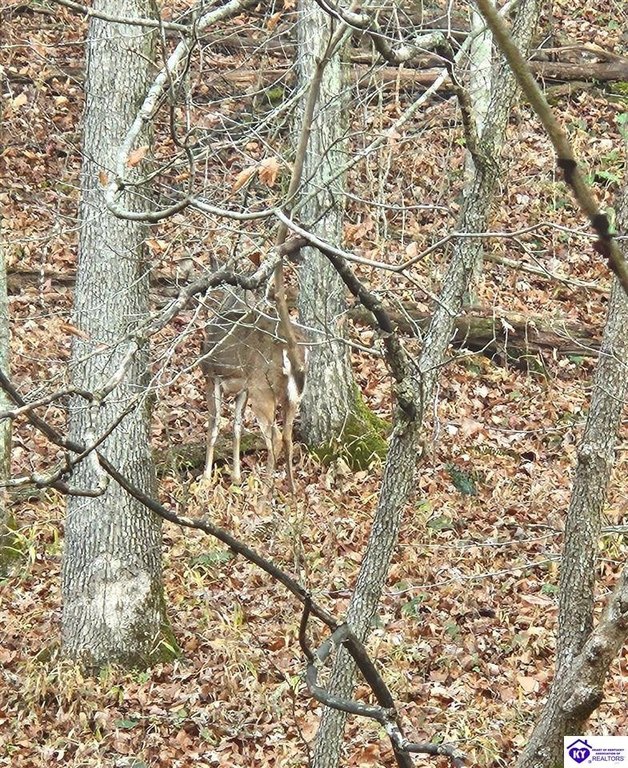 Picture 3