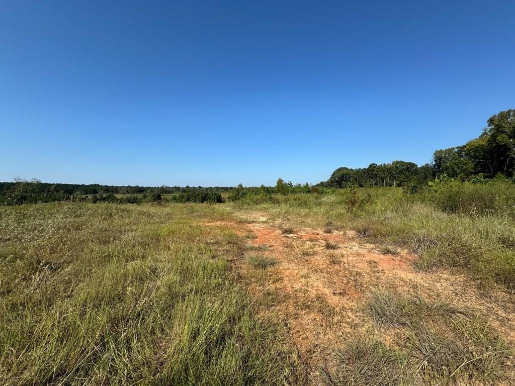 Brookeland, TX Commercial Land