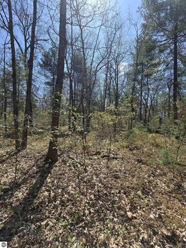 Wooded Agricultural Land Parcel