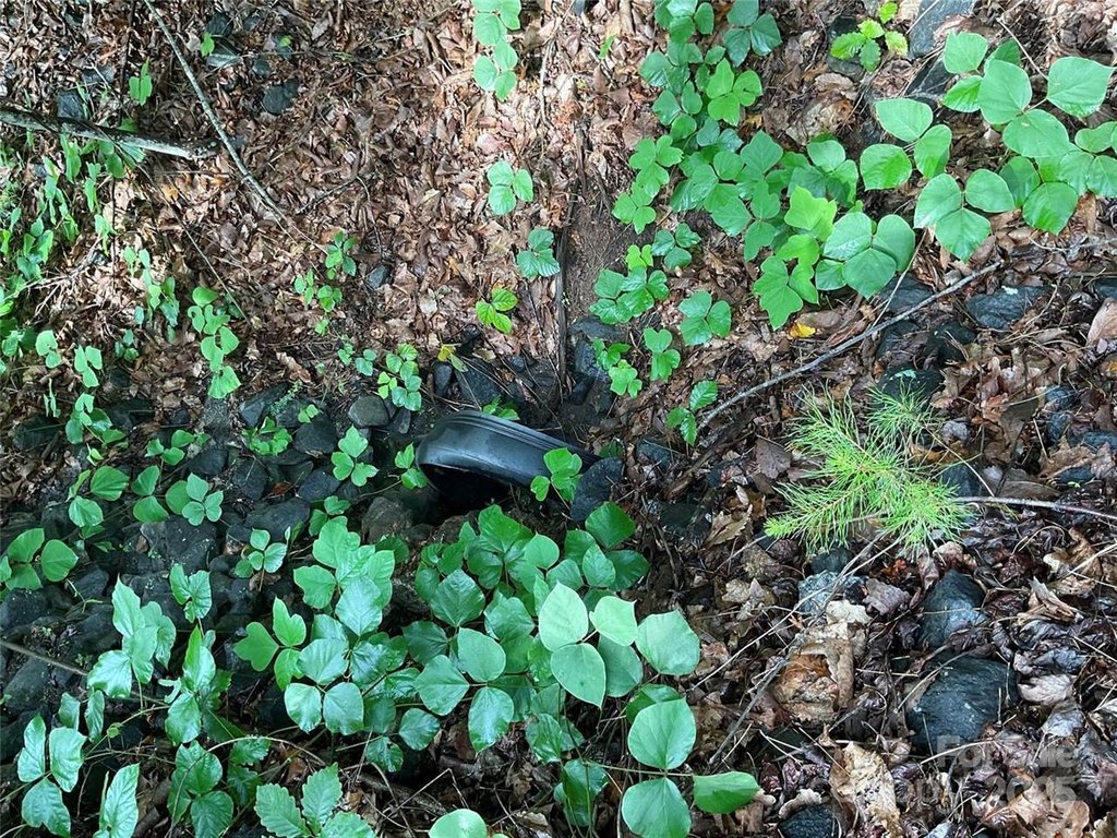 Picture 22