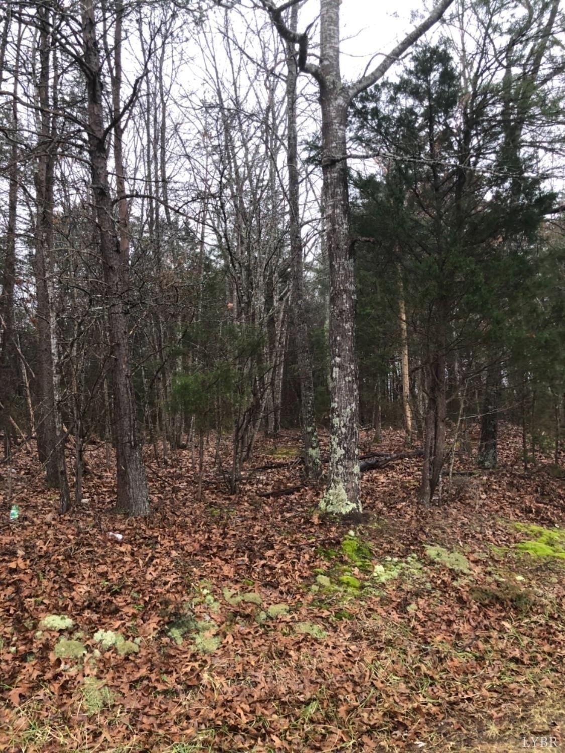 Land in Gladys, Virginia