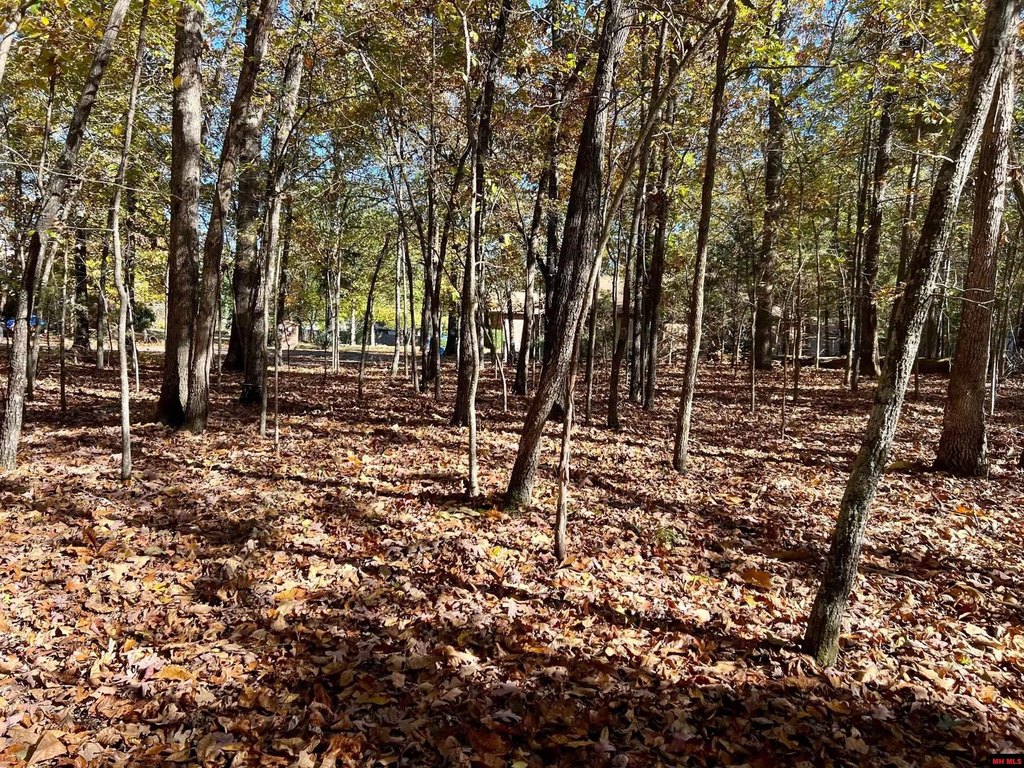 Picture 8