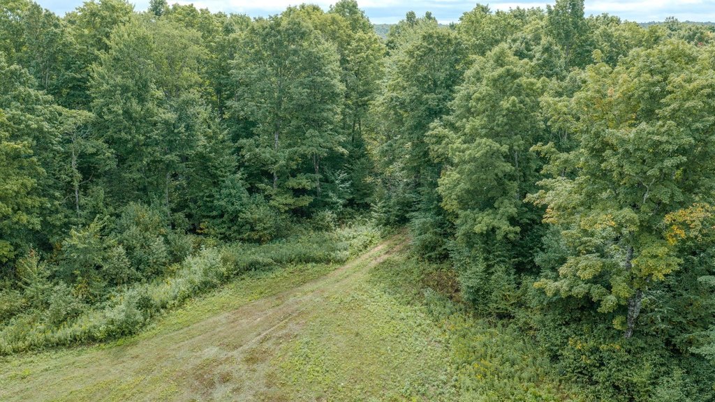 Picture 25