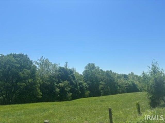 Picture 5