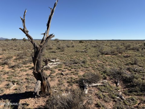 Land, Williams, AZ