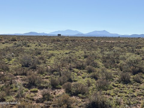 Land, Williams, AZ