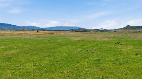 40 Acres with Mt. Shasta Views