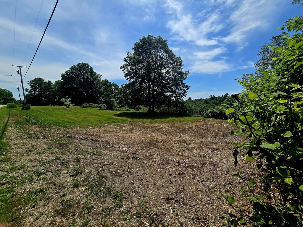 Picture 6