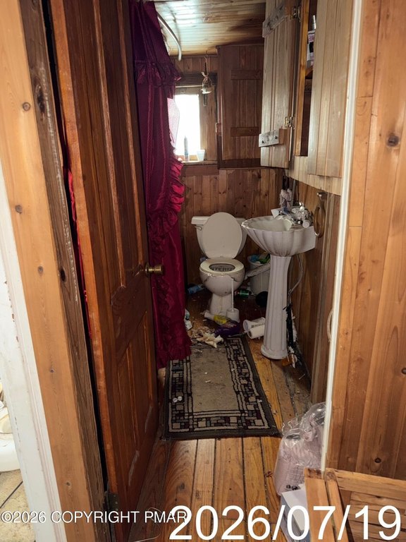 Picture 19