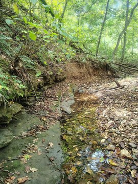 107 Acres of Untouched Wilderness