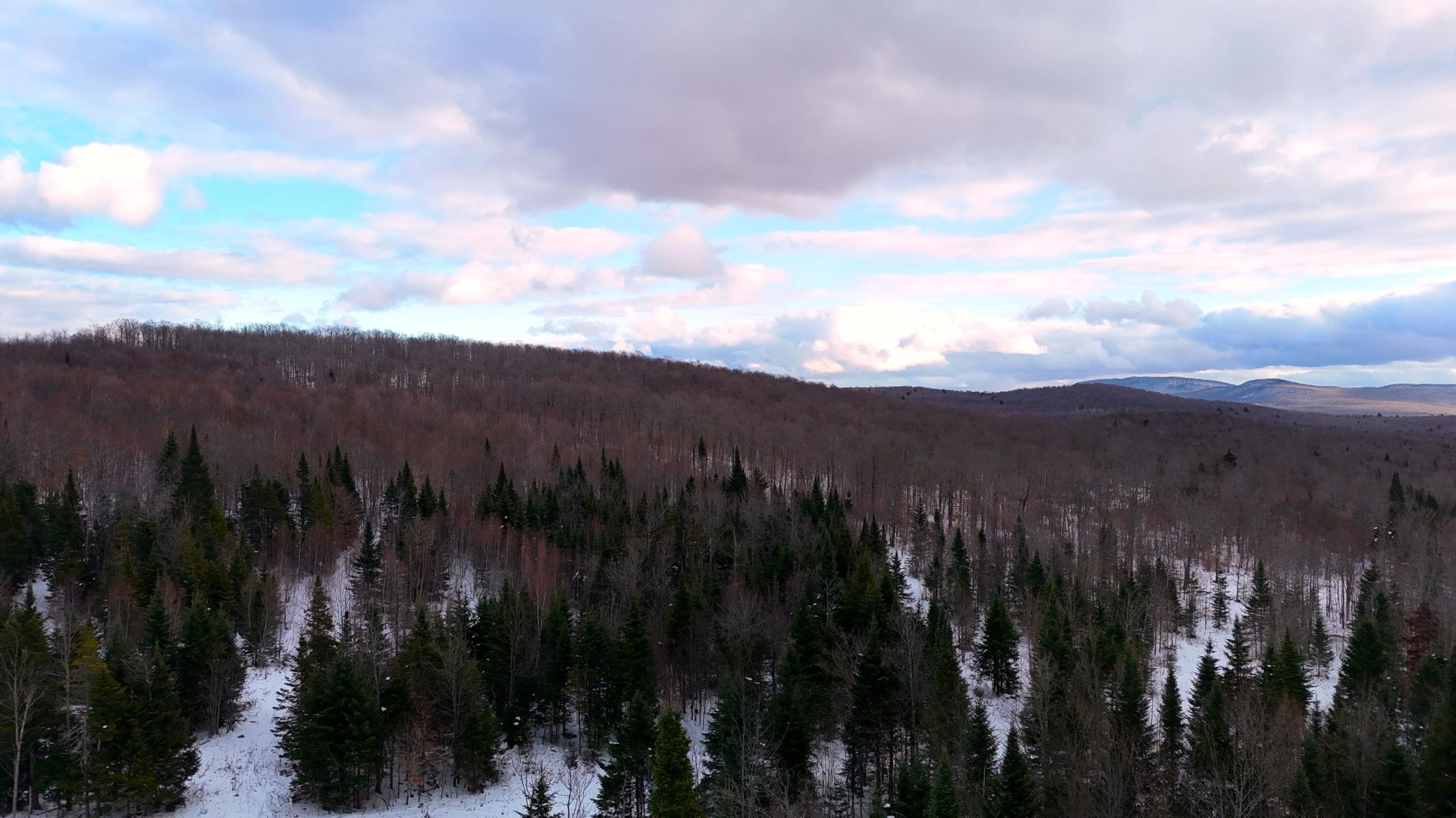 96 Acres Adirondack Wilderness Land