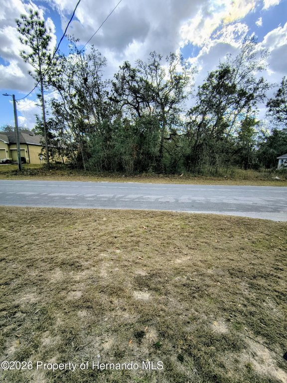 Picture 2