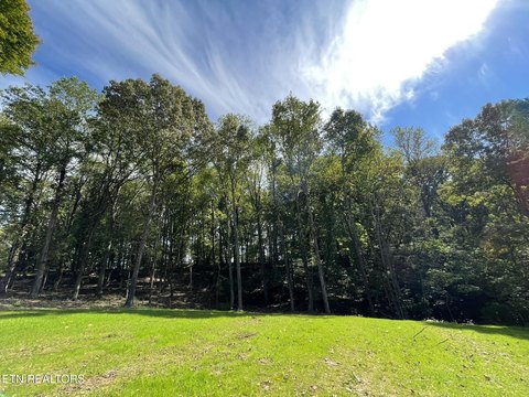 Lots & Acreage, Knoxville, TN