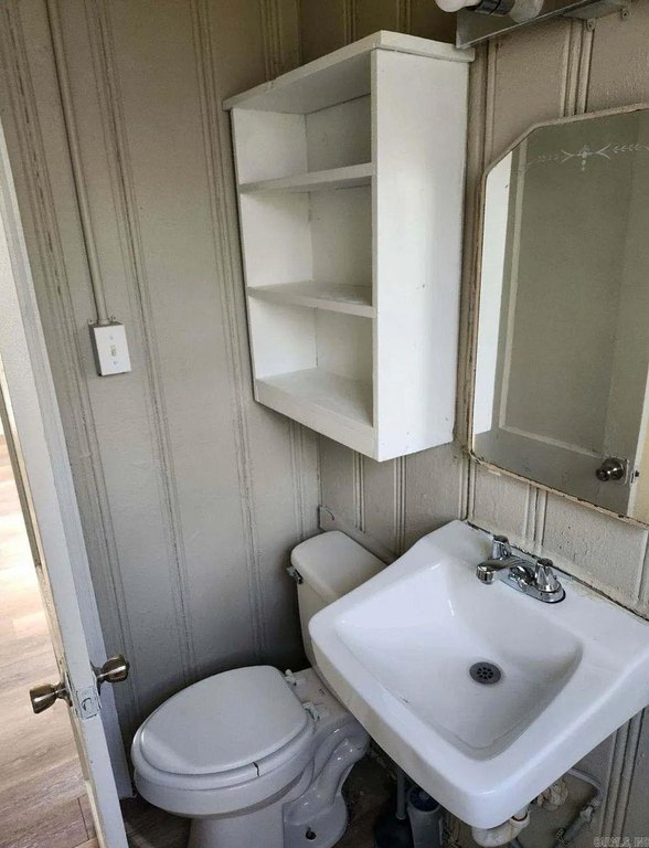 Picture 14