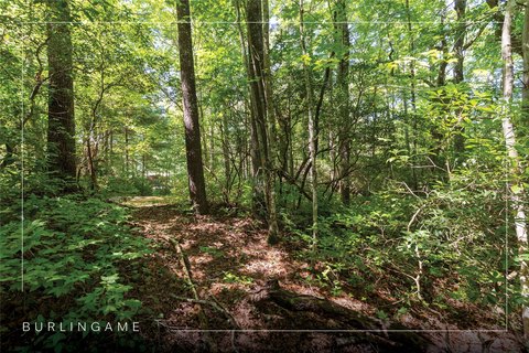 Land, Sapphire, NC