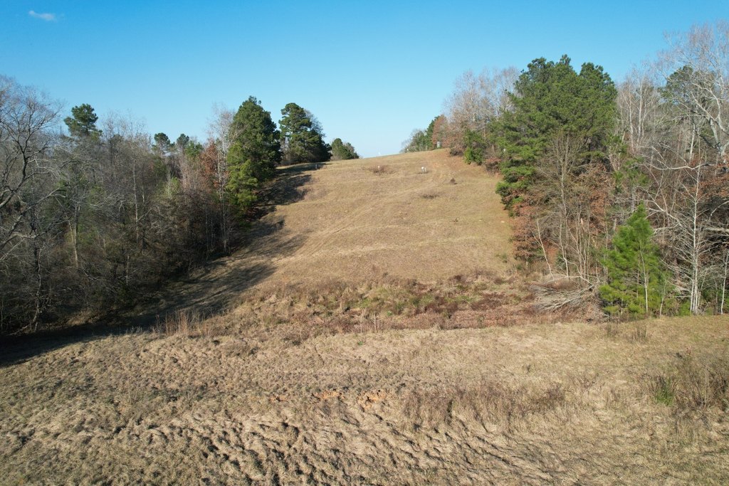 Picture 3