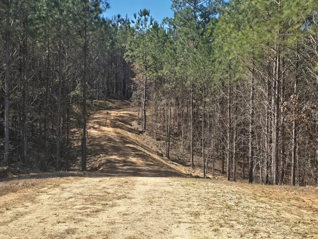 Picture 4