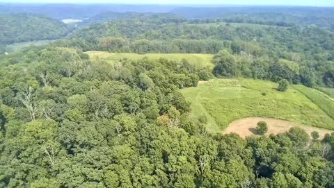 Crawford County Hunting Land