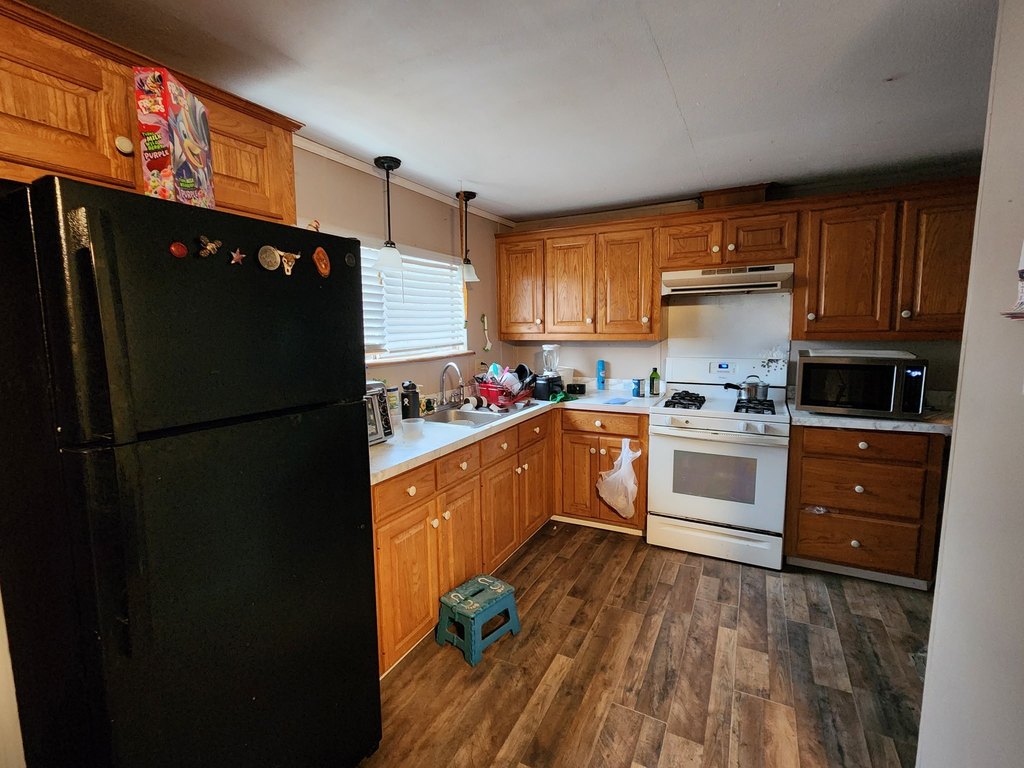 Picture 8