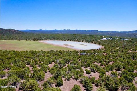 Secluded Acreage near Show Low