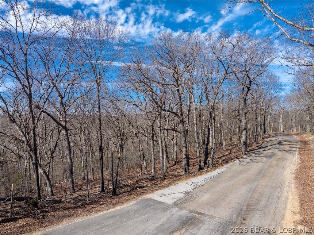 Wooded Land in Gravois Mills