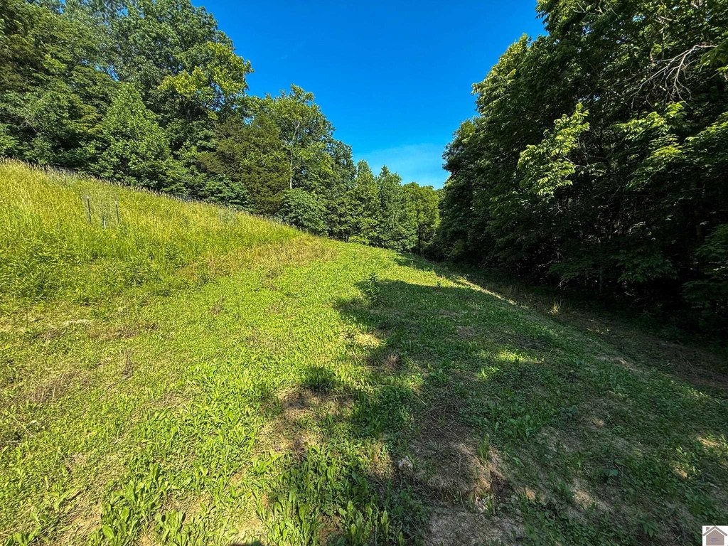 Picture 24