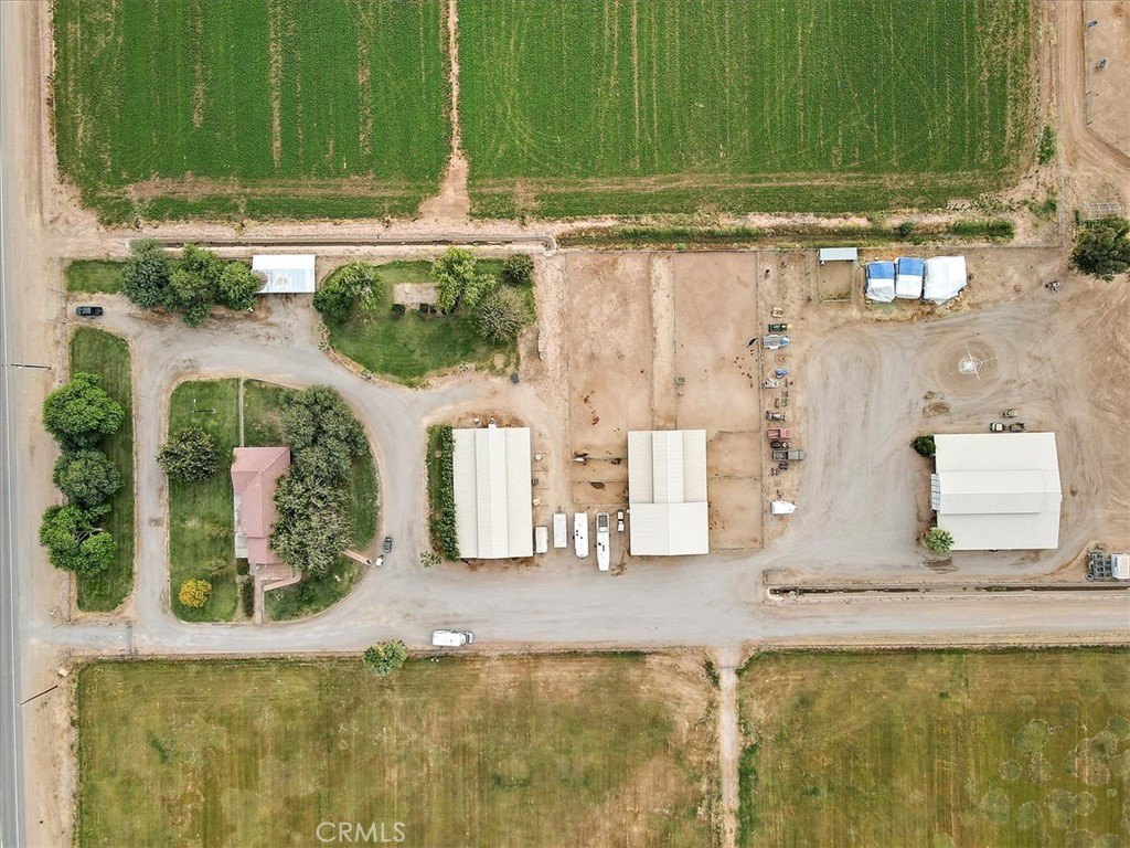 Picture 3
