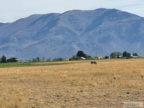 Rural Land in Moore, ID
