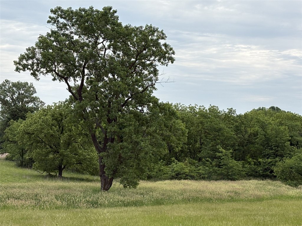 Picture 32