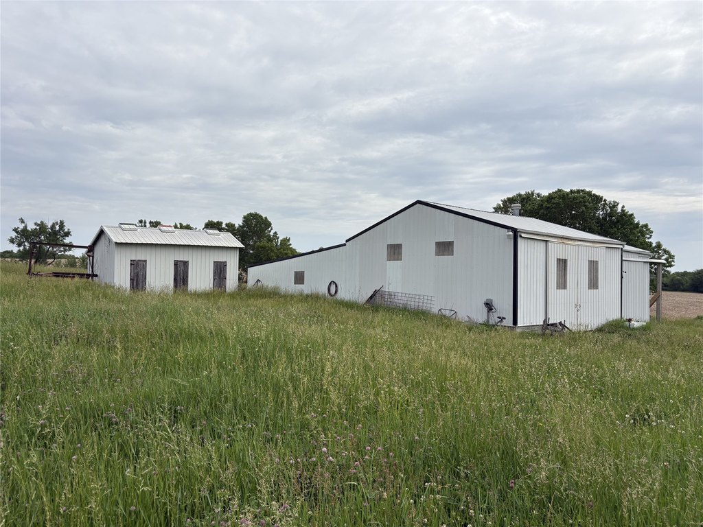 Picture 33