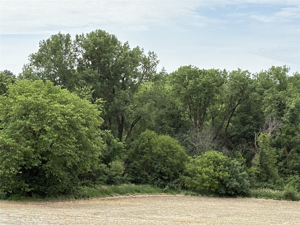 Picture 34