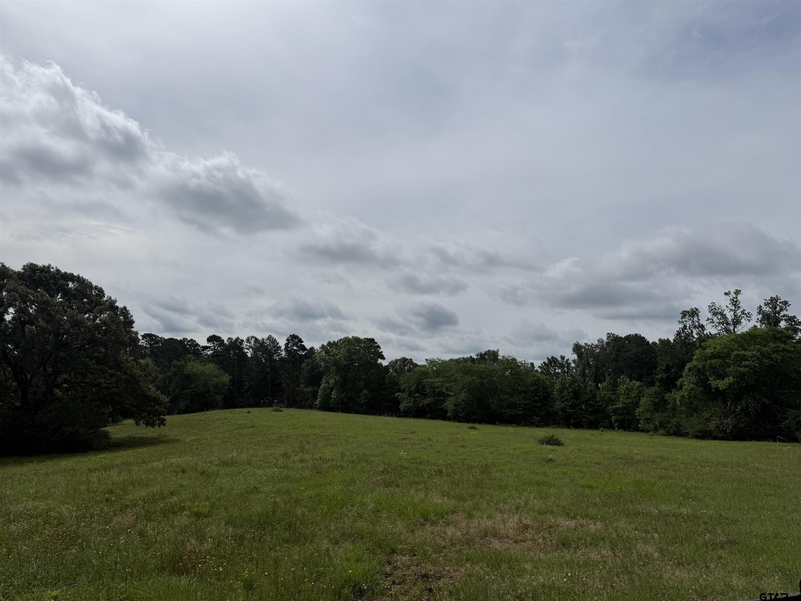 60.3 Acres Rolling Pasture Land