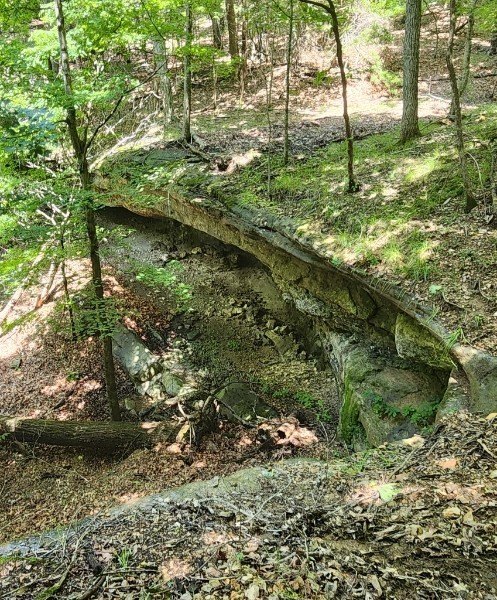 Picture 5