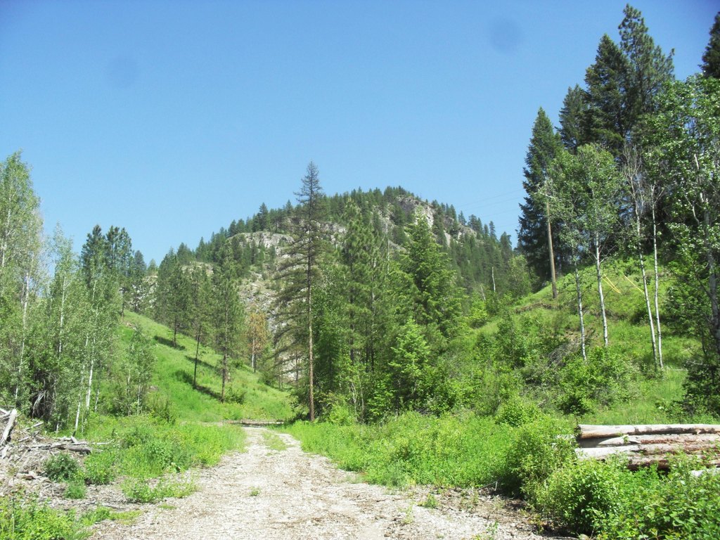Picture 30