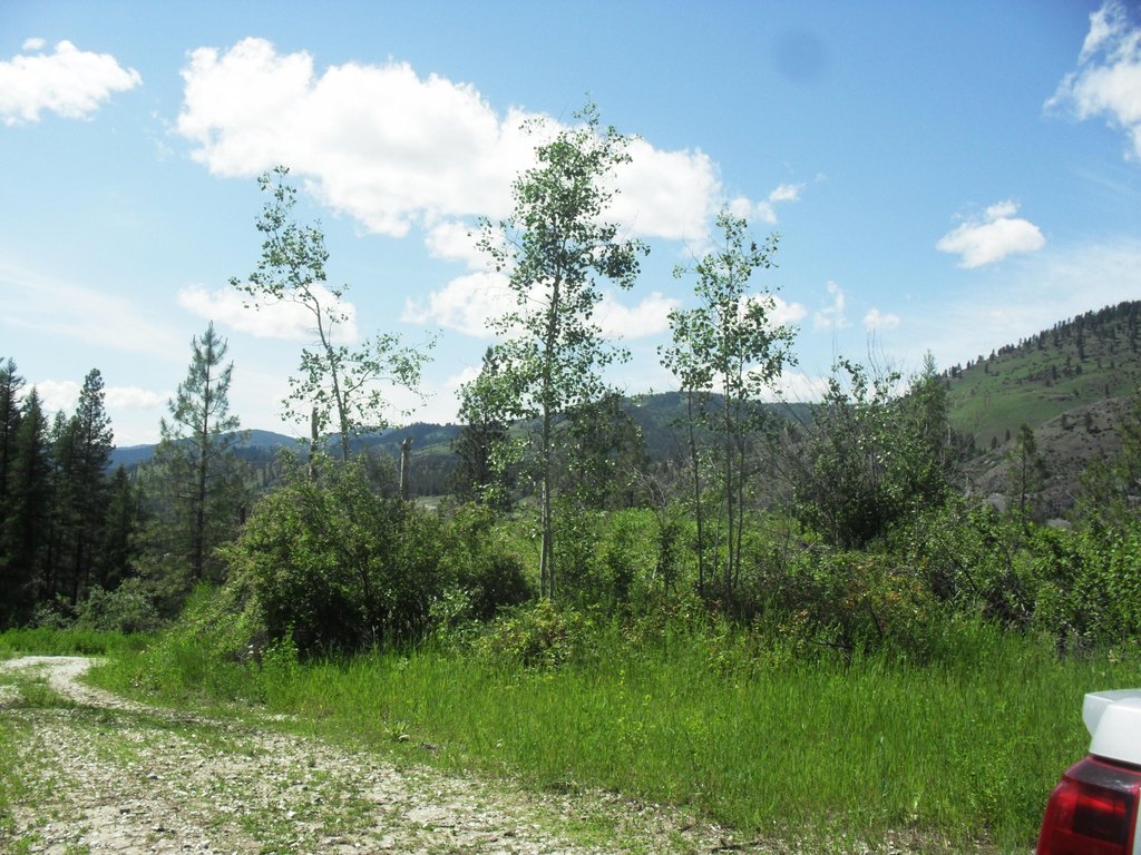 Picture 27