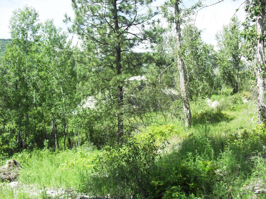 Picture 37
