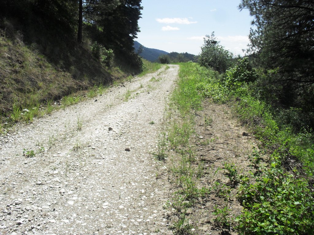 Picture 18