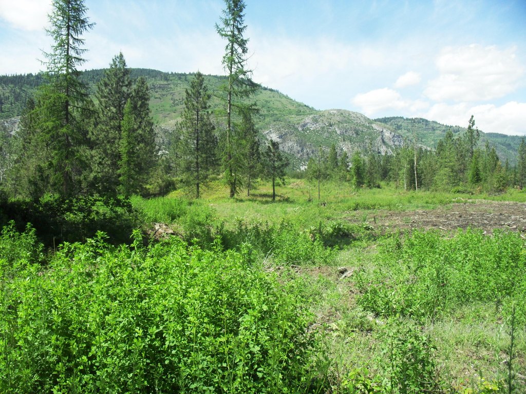 Picture 24
