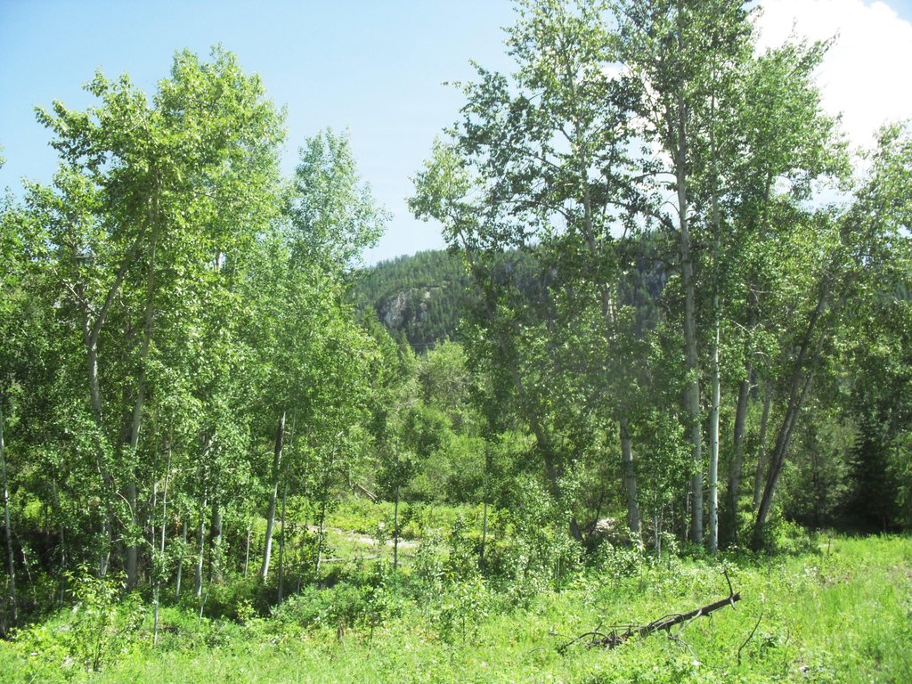 Picture 40